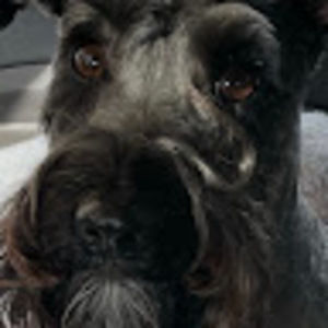 Meet your Posher, Rick